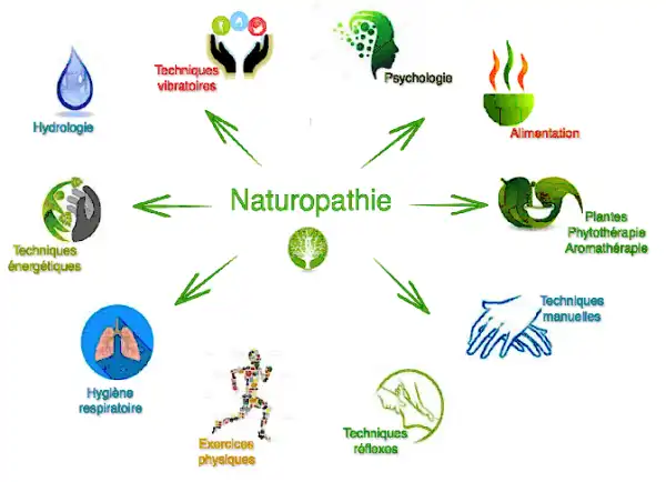 Infographie présentant les 10 techniques utilisées en Naturopathie