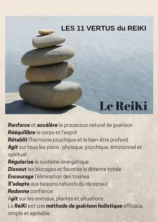 infographie présentant les 11 vertus du Reiki